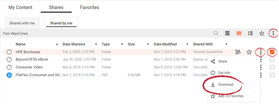 FileFlex Help Topics > Downloading a Folder > worddav046b1894cffc004032c00d959f3a18ac.png