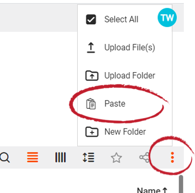 FileFlex Help Topics > Cut, Copy and Paste > worddavd2ae90bb6433c38bd95fd9c3880cbb0f.png
